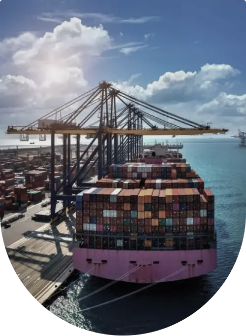 Revolutionizing Global Markets
